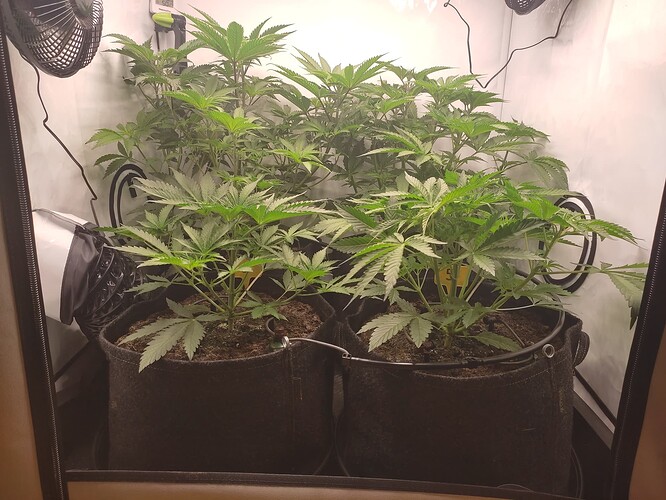 Growreport Bild 12