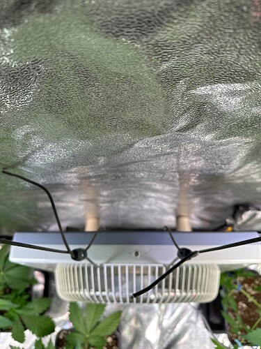 Growreport Bild 106