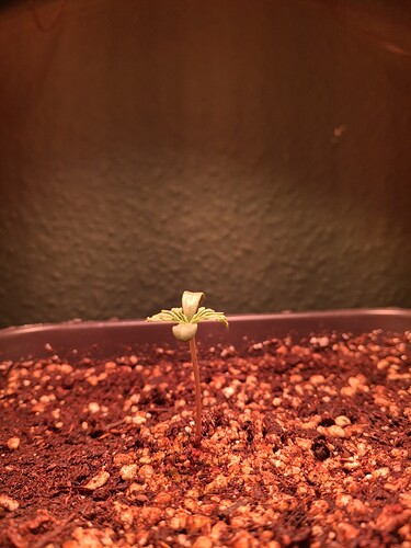 Growreport Bild 14
