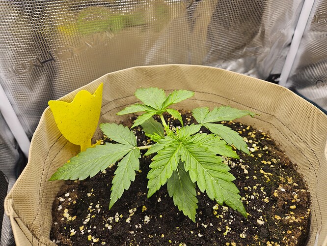 Growreport Bild 24