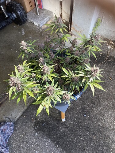 Growreport Bild 18
