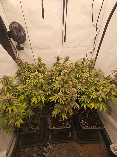 Growreport Bild 14