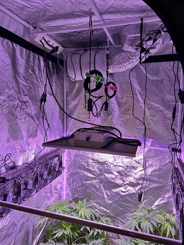 Growreport Bild 2