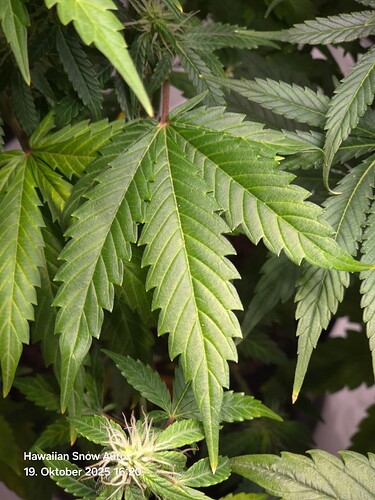 Growreport Bild 14