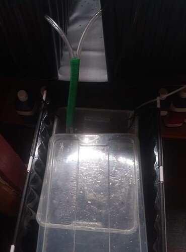 Screenshot_20250318_085951