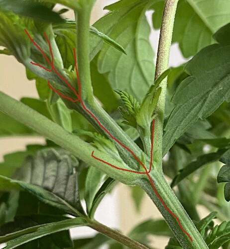 Growreport Bild 38