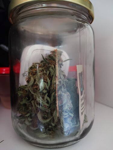 Growreport Bild 7