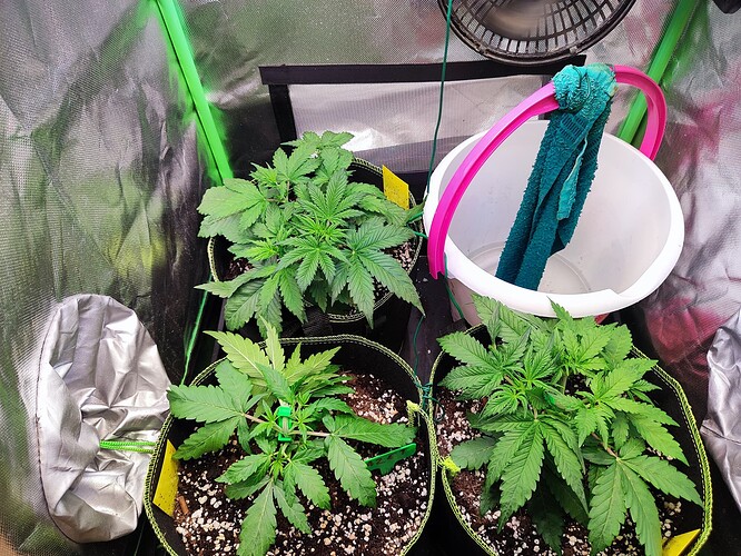 Growreport Bild 2