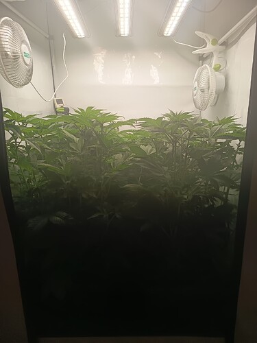 Growreport Bild 18