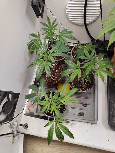 WhatsApp Image 2024-05-13 at 16.23.33