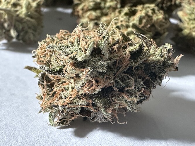 Growreport Bild 9