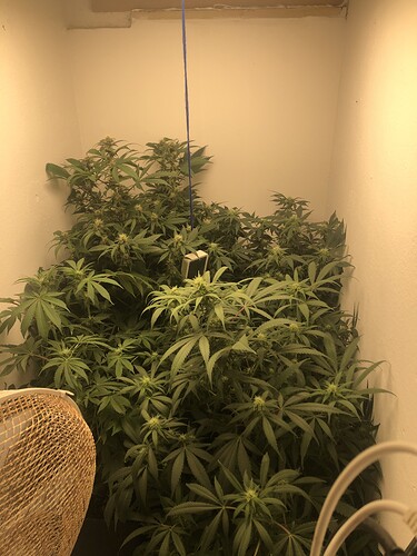 Growreport Bild 4