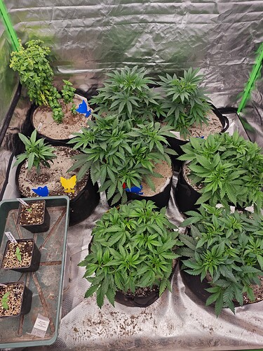 Growreport Bild 14