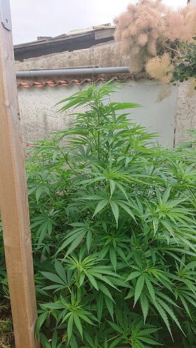 Growreport Bild 19