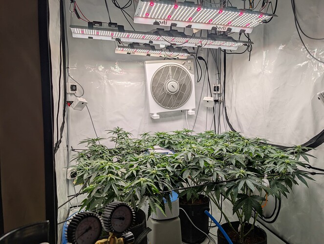 PXL_20250722_162818666.RAW-01.COVER