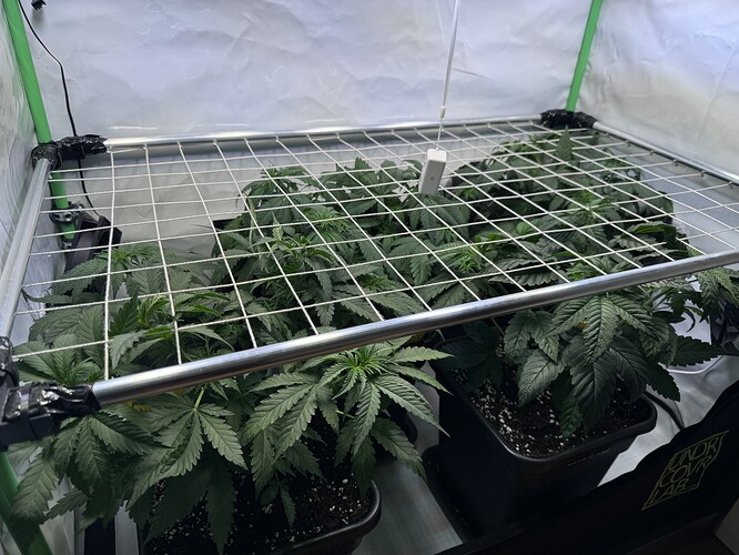 Growreport Bild 8