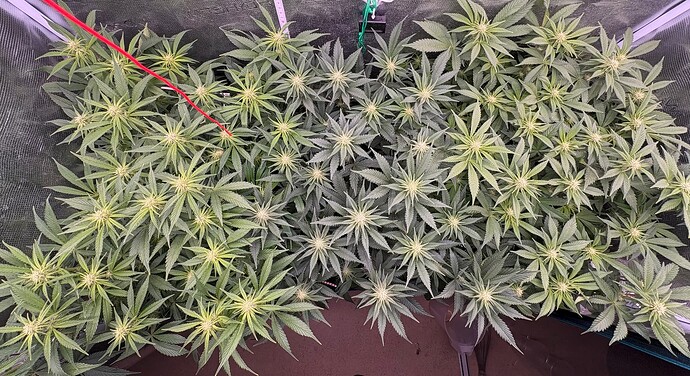 Foto 05.01.26, 07 02 02