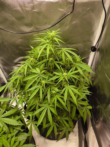 Growreport Bild 16