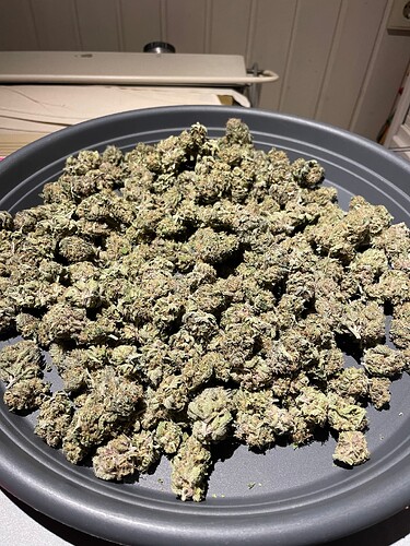 Growreport Bild 8