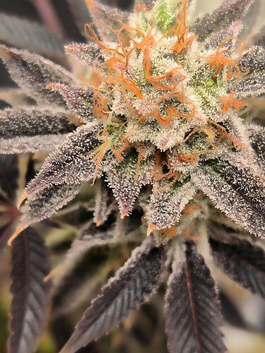 Growreport Bild 10