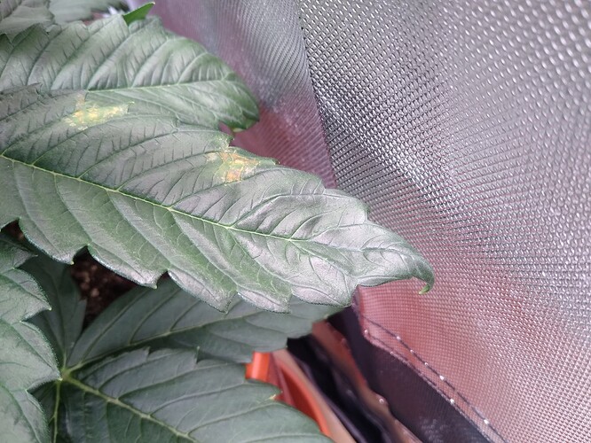 IMG_20240507_201125618