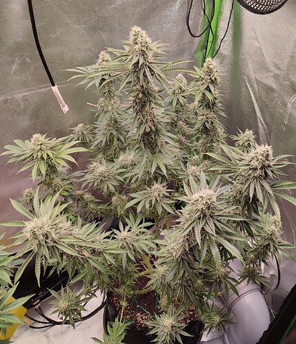 Growreport Bild 10