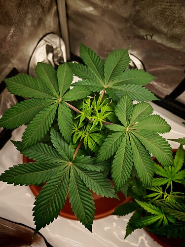 Growreport Bild 23