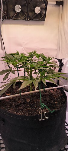 Growreport Bild 9