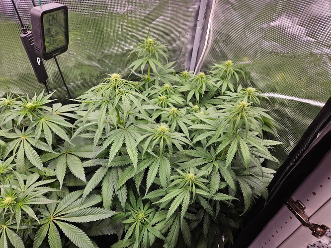 Growreport Bild 9