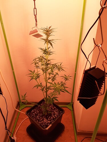 Growreport Bild 56