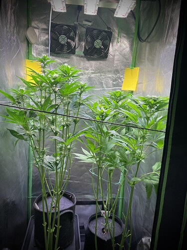 Growreport Bild 12