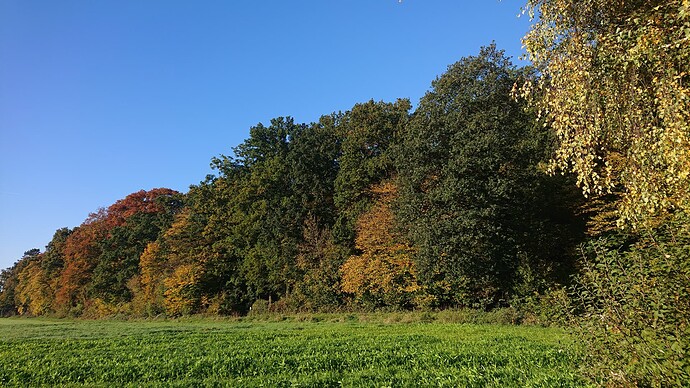 Growreport Bild 17