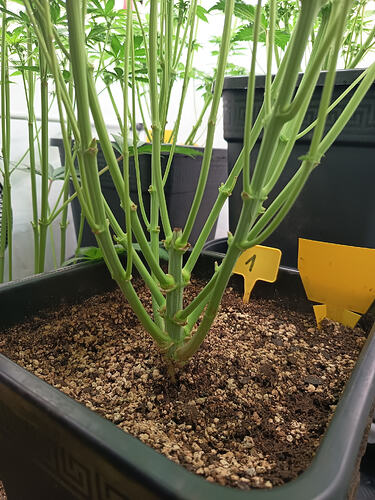 Growreport Bild 8