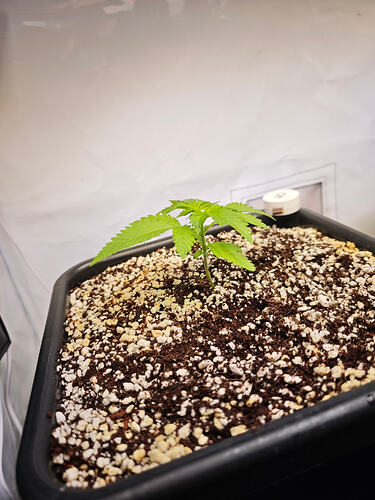 Growreport Bild 22