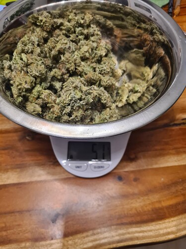 Growreport Bild 9