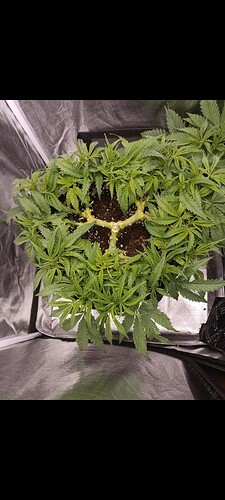 Growreport Bild 16