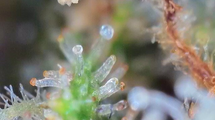 Growreport Bild 53