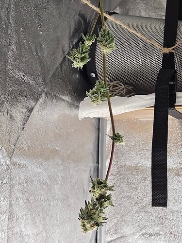 Growreport Bild 1