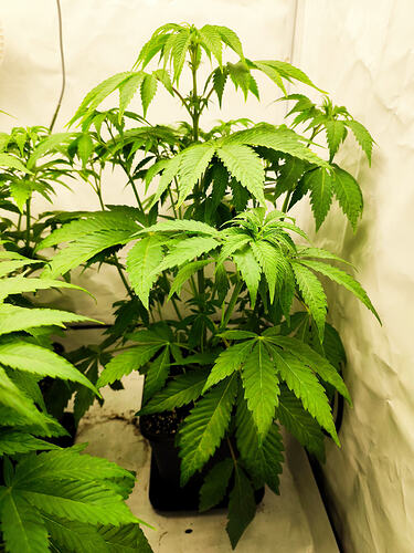 Growreport Bild 6