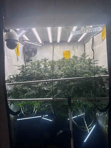 Growreport Bild 2