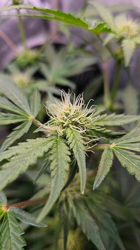Growreport Bild 23