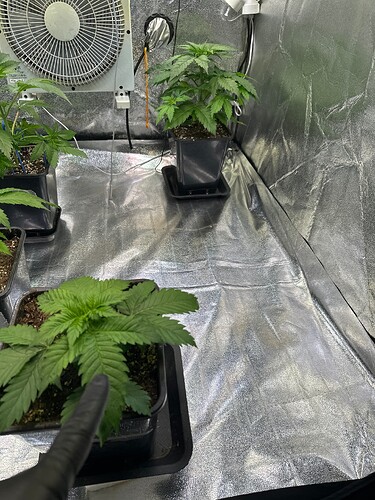 Growreport Bild 102