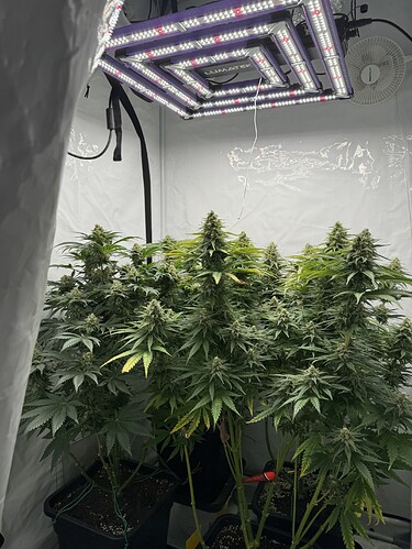 Growreport Bild 3