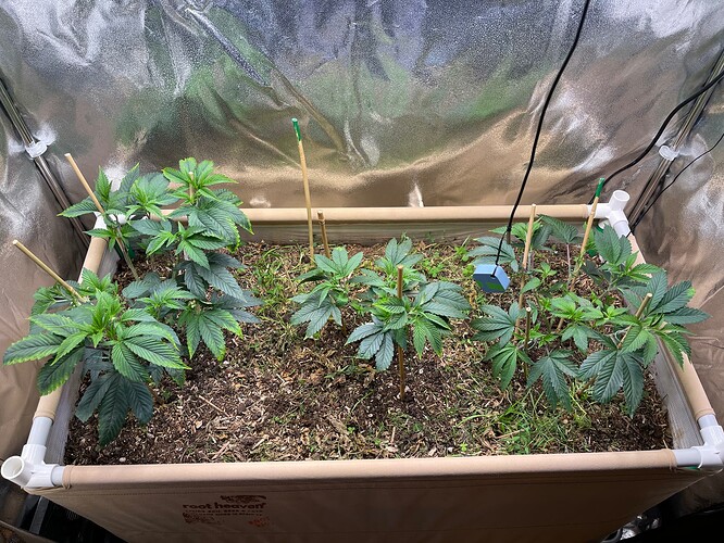 Growreport Bild 7