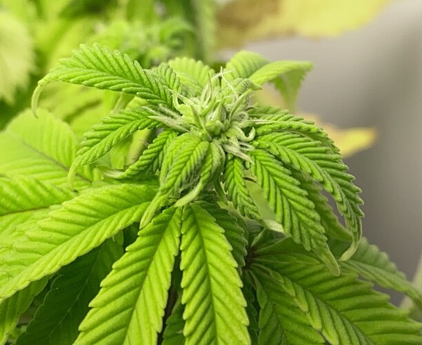 Growreport Bild 12