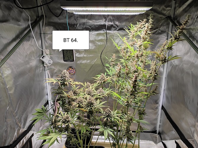Growreport Bild 8