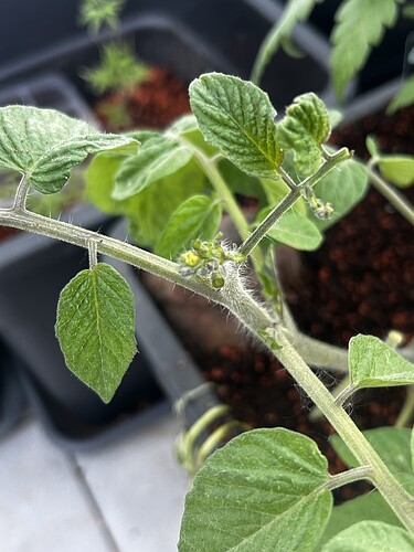 Growreport Bild 33