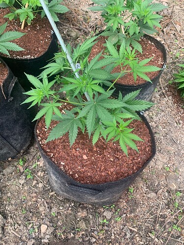 WhatsApp Image 2024-05-14 at 13.57.32