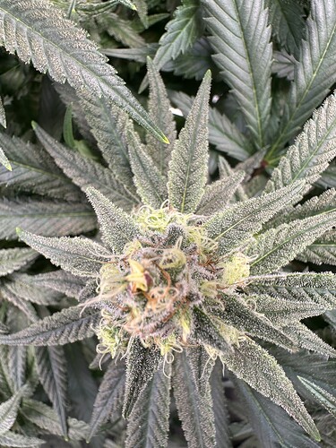 Growreport Bild 9