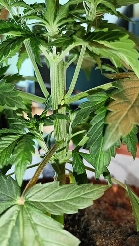 Growreport Bild 4